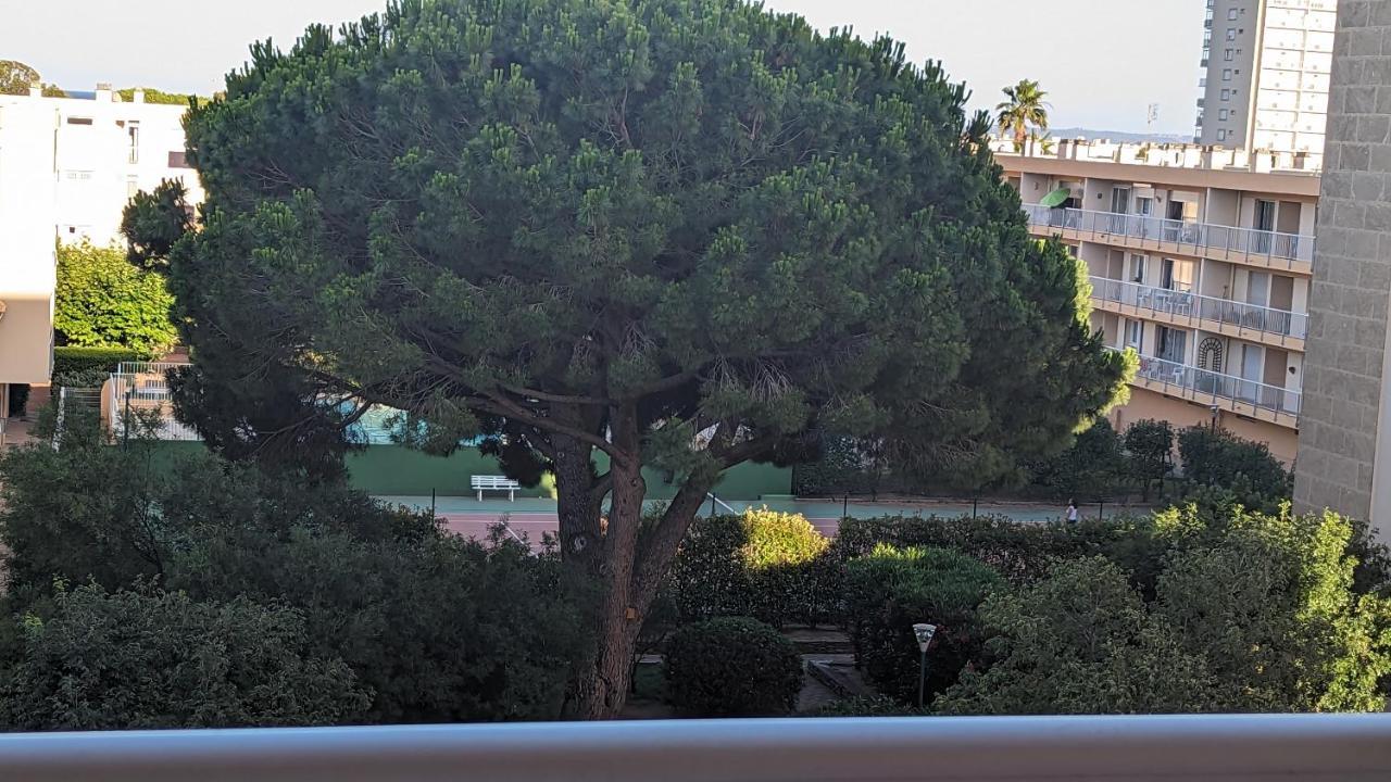 Studio Climatise Avec Coin Nuit 150M De La Plage Le Lavandou Exteriér fotografie
